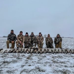 Meet your Posher, Max